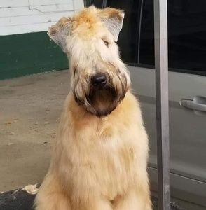 Meet your Posher, Peggy